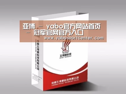 项目名称十三