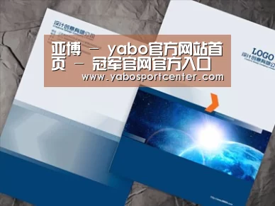 项目名称十