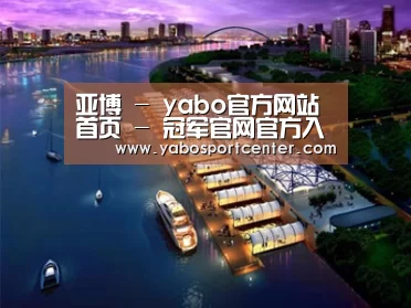 案例展示八