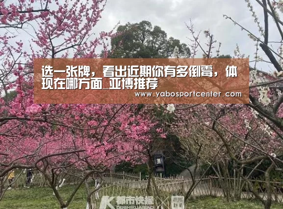 选一张牌,看出近期你有多倒霉,体现在哪方面_亚博推荐(图1) 亚博推荐