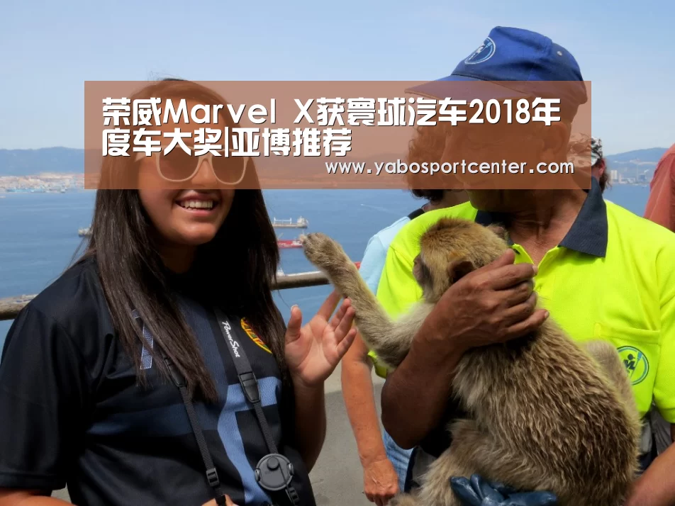荣威Marvel X获寰球汽车2018年度车大奖|亚博推荐(图3) 亚博首页