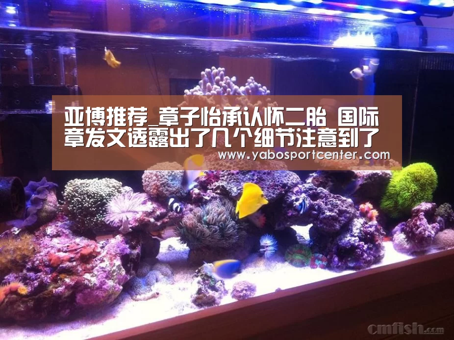亚博首页