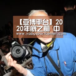【亚博平台】2020年底之前 中国将逐步取消新能源汽车补贴(图3) 亚博游戏